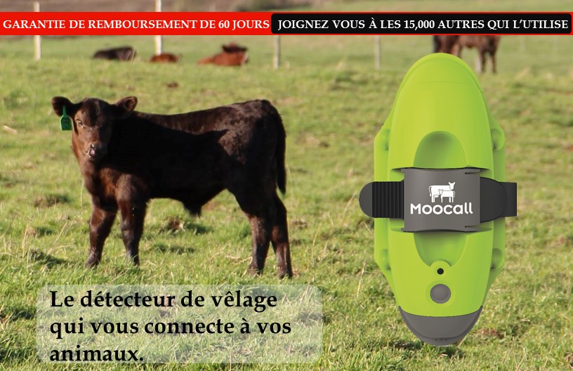 Acheter un Moocall
